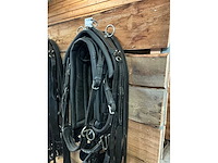 Eenspantuig - afbeelding 7 van  12