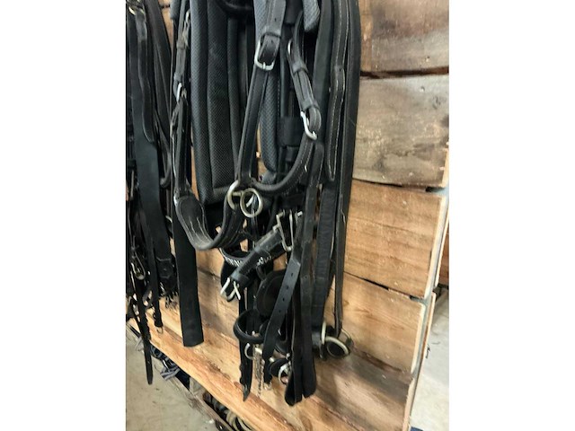 Eenspantuig - afbeelding 8 van  12