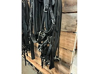 Eenspantuig - afbeelding 8 van  12