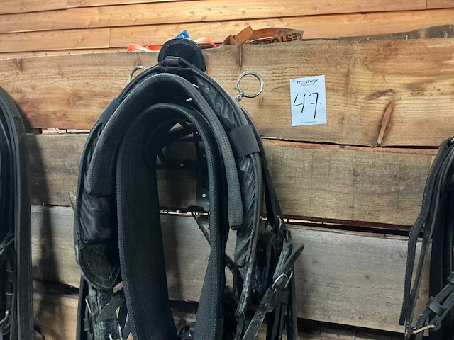 Eenspantuig - afbeelding 9 van  12