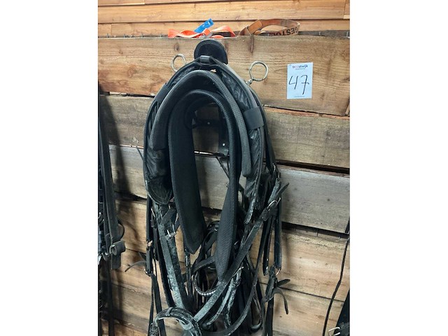 Eenspantuig - afbeelding 10 van  12