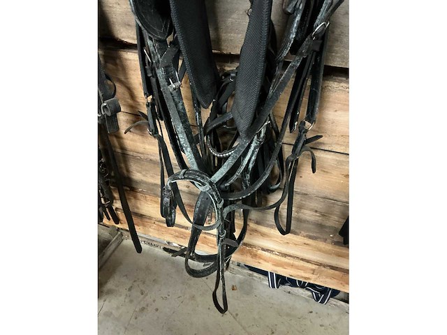 Eenspantuig - afbeelding 11 van  12