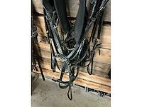 Eenspantuig - afbeelding 11 van  12