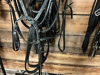 Eenspantuig - afbeelding 12 van  12