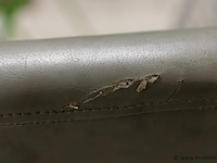Eetkamerstoelen - 6 stuks - afbeelding 2 van  2