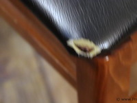 Eetkamerstoelen, hout/leder bekleed - 12 stuks - afbeelding 3 van  6