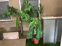 Eetkamertafel & decoratie materiaal - afbeelding 5 van  9