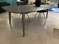 Eetkamertafel, leolux, bondi, pne grey - afbeelding 3 van  5