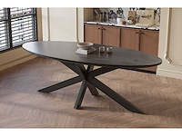 Eettafel mango - ovaal - 180x90x76 cm - zwart - spinpoot 5x10 - afbeelding 3 van  3