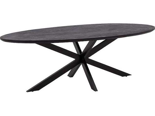 Eettafel mango - ovaal - 240x100x76 cm - zwart - spinpoot 5x10 - afbeelding 1 van  3