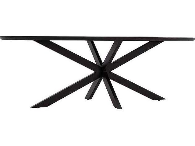 Eettafel mango - ovaal - 240x100x76 cm - zwart - spinpoot 5x10 - afbeelding 2 van  3