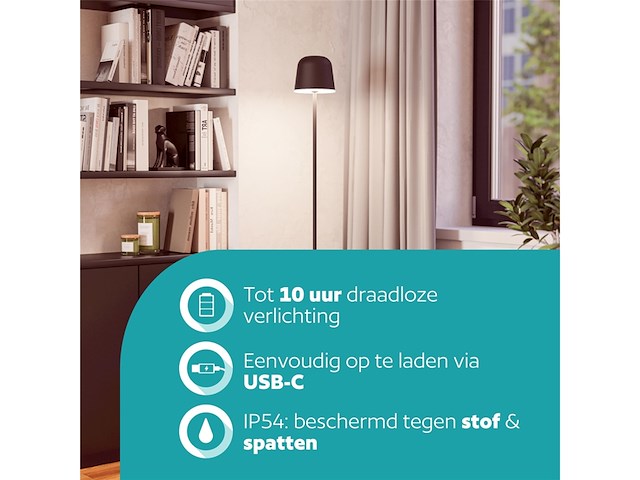 Eglo mannera-l led-vloerlam metaal in zwart ip54 - afbeelding 3 van  4