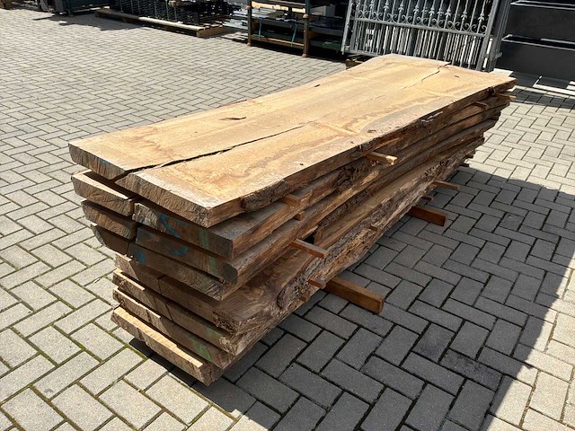 Eiken boomstam schaaldeel (8x) - afbeelding 2 van  6