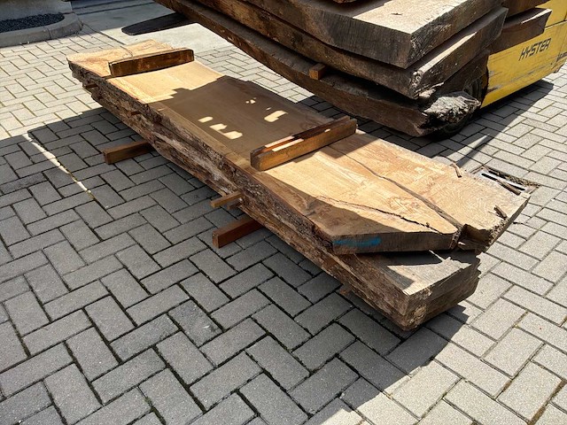 Eiken boomstam schaaldeel (8x) - afbeelding 6 van  6
