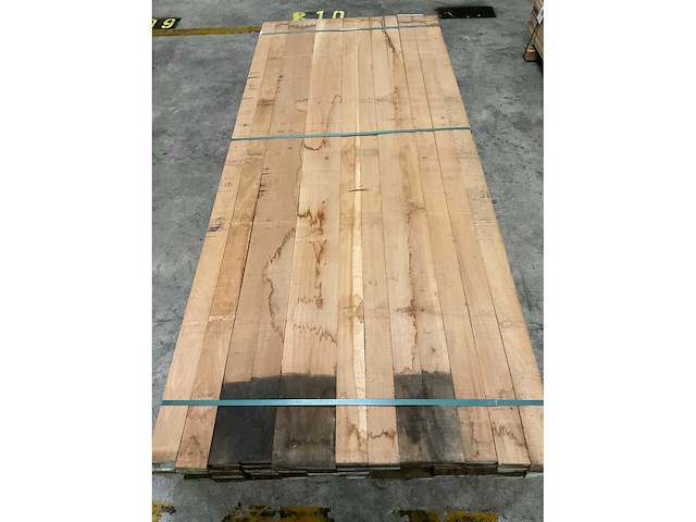 Eiken, europees (91x) - afbeelding 3 van  3