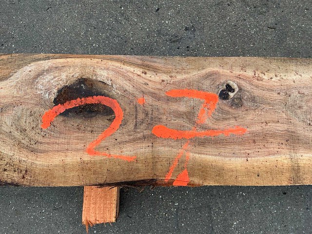 Eiken paal - afbeelding 9 van  9