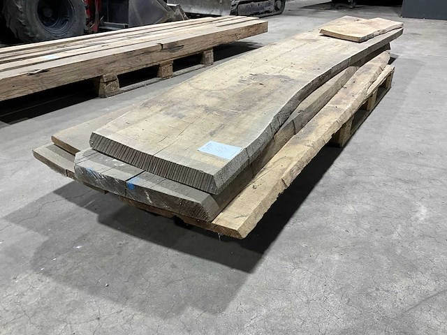 Eiken schaaldelen (5x) - afbeelding 1 van  6