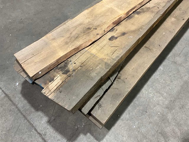 Eiken schaaldelen (5x) - afbeelding 4 van  6