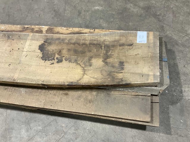 Eiken schaaldelen (5x) - afbeelding 6 van  6