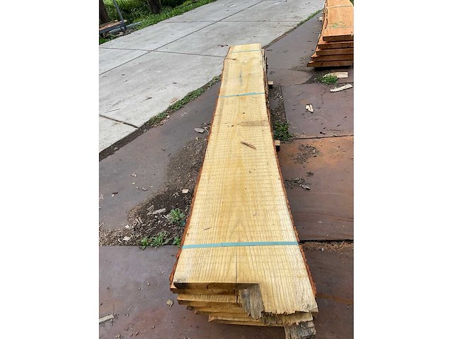 Eiken stam 45 mm ca. 0,369 m³ - afbeelding 3 van  3