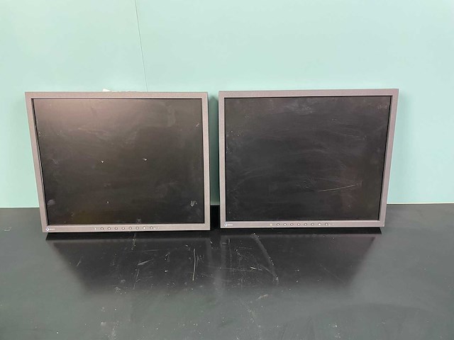 Eizo - radiforce mx191 - monitor (2x) - afbeelding 1 van  3