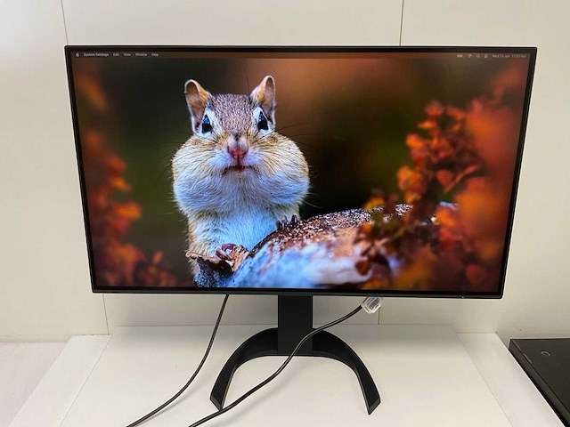 Eizo (ev3285) 32”, 3840x2160 (uhd) ips monitor - afbeelding 1 van  1