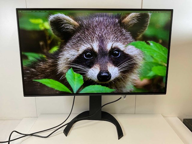 Eizo (ev3285) 32”, 3840x2160 (uhd) ips monitor - afbeelding 1 van  4