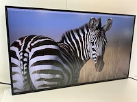 Eizo (ev3285) 32”, 3840x2160 (uhd) ips monitor - afbeelding 2 van  7