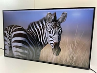 Eizo (ev3285) 32”, 3840x2160 (uhd) ips monitor - afbeelding 3 van  7