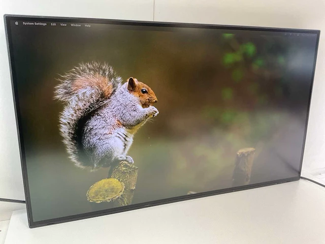 Eizo (ev3285) 32”, 3840x2160 (uhd) ips monitor - afbeelding 2 van  7