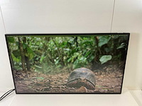 Eizo (ev3285) 32”, 3840x2160 (uhd) ips monitors (2x) - afbeelding 10 van  13