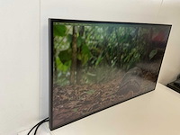 Eizo (ev3285) 32”, 3840x2160 (uhd) ips monitors (2x) - afbeelding 12 van  13