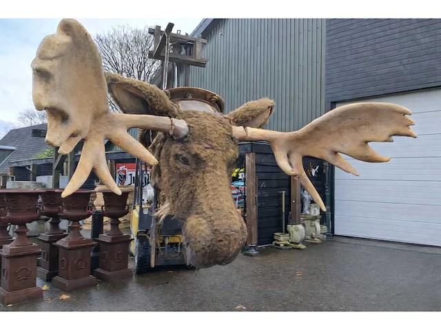 Elandenkop met gewei - afbeelding 1 van  1