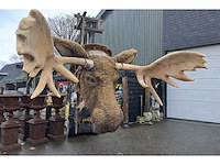 Elandenkop met gewei