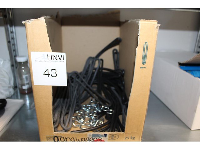 Elastieken met haken in doos. - afbeelding 1 van  2