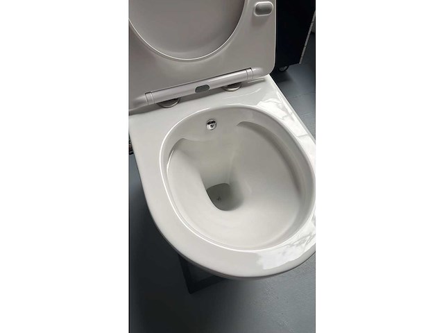 Elberti - leuven - wandcloset met douchefunctie - afbeelding 3 van  3