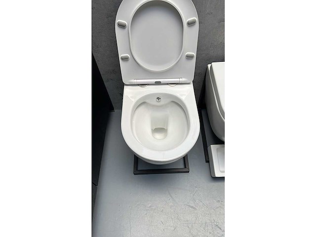 Elberti - leuven - wandcloset met douchefunctie - afbeelding 2 van  4