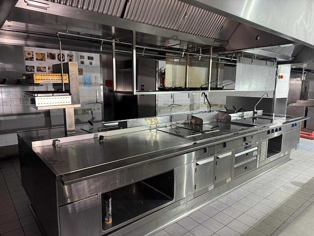 Electrolux - thermaline island electric - bakkooklijn - afbeelding 3 van  10