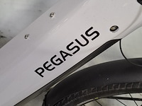 Elektische damesfiets, pegasus, savino - afbeelding 3 van  14