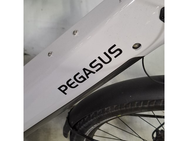 Elektische damesfiets, savino, pegasus - afbeelding 3 van  14