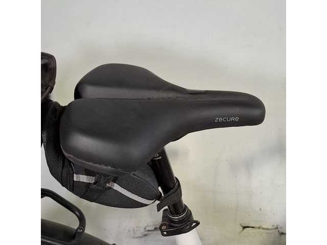 Elektische damesfiets, savino, pegasus - afbeelding 9 van  14