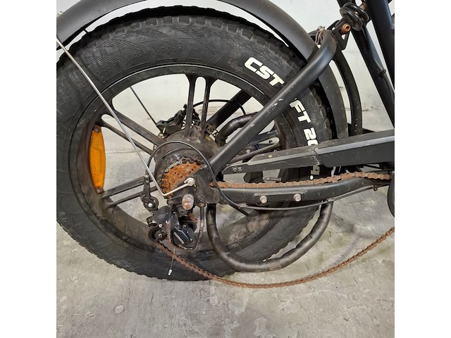 Elektrische bakfiets, batavus, fier - afbeelding 4 van  15