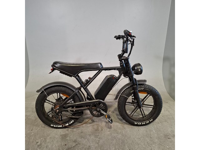 Elektrische bakfiets, batavus, fier - afbeelding 1 van  15