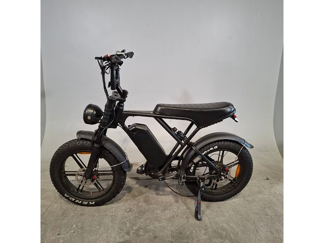 Elektrische bakfiets, batavus, fier - afbeelding 8 van  15
