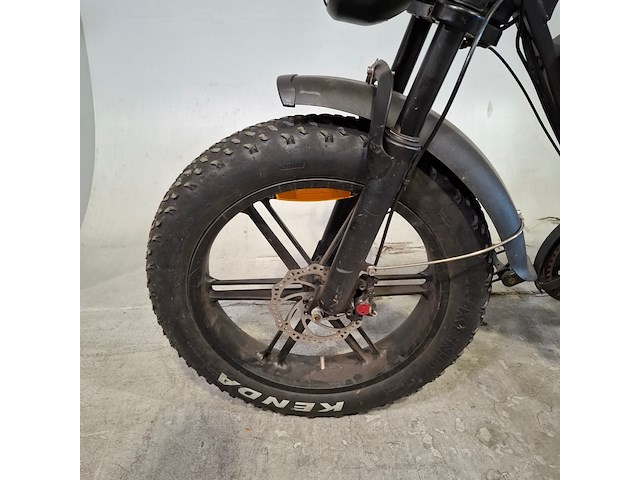 Elektrische bakfiets, batavus, fier - afbeelding 9 van  15