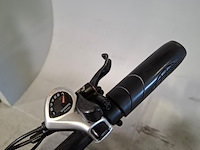 Elektrische bakfiets, batavus, fier - afbeelding 15 van  15