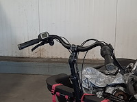 Elektrische bakfiets, batavus, fier - afbeelding 16 van  17