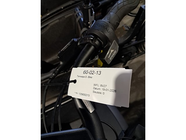 Elektrische bakfiets, tenways, cargo one - afbeelding 20 van  20