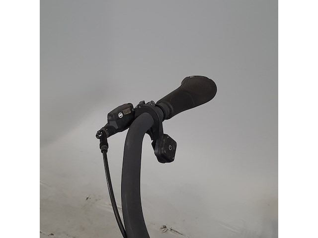 Elektrische bakfiets, urban arrow, cargo flight case - afbeelding 18 van  21