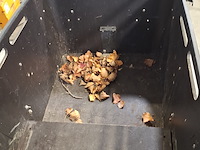 Elektrische bakfiets, vogue - afbeelding 4 van  18